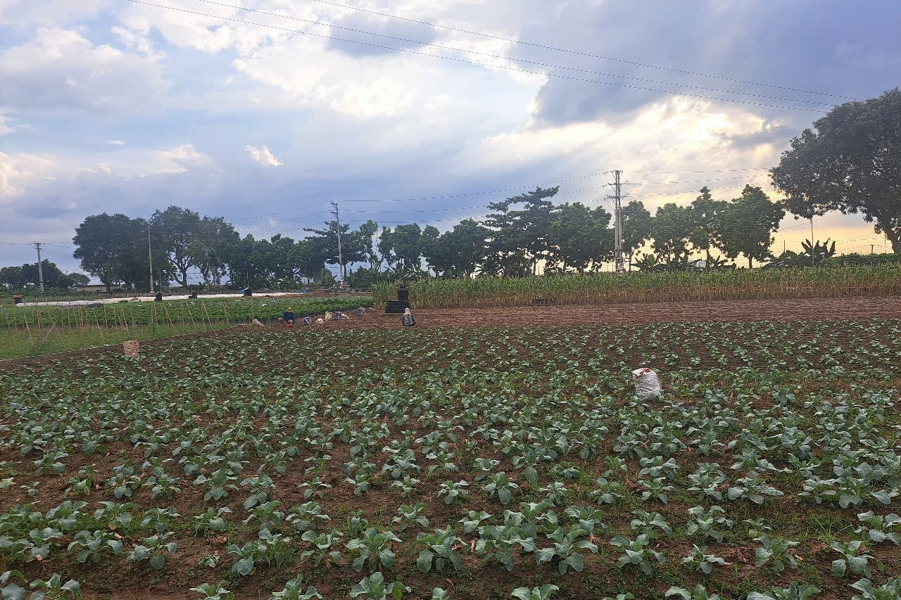 Đồng Nai khơi dậy tinh thần đoàn kết, đồng thuận xây dựng nông thôn mới