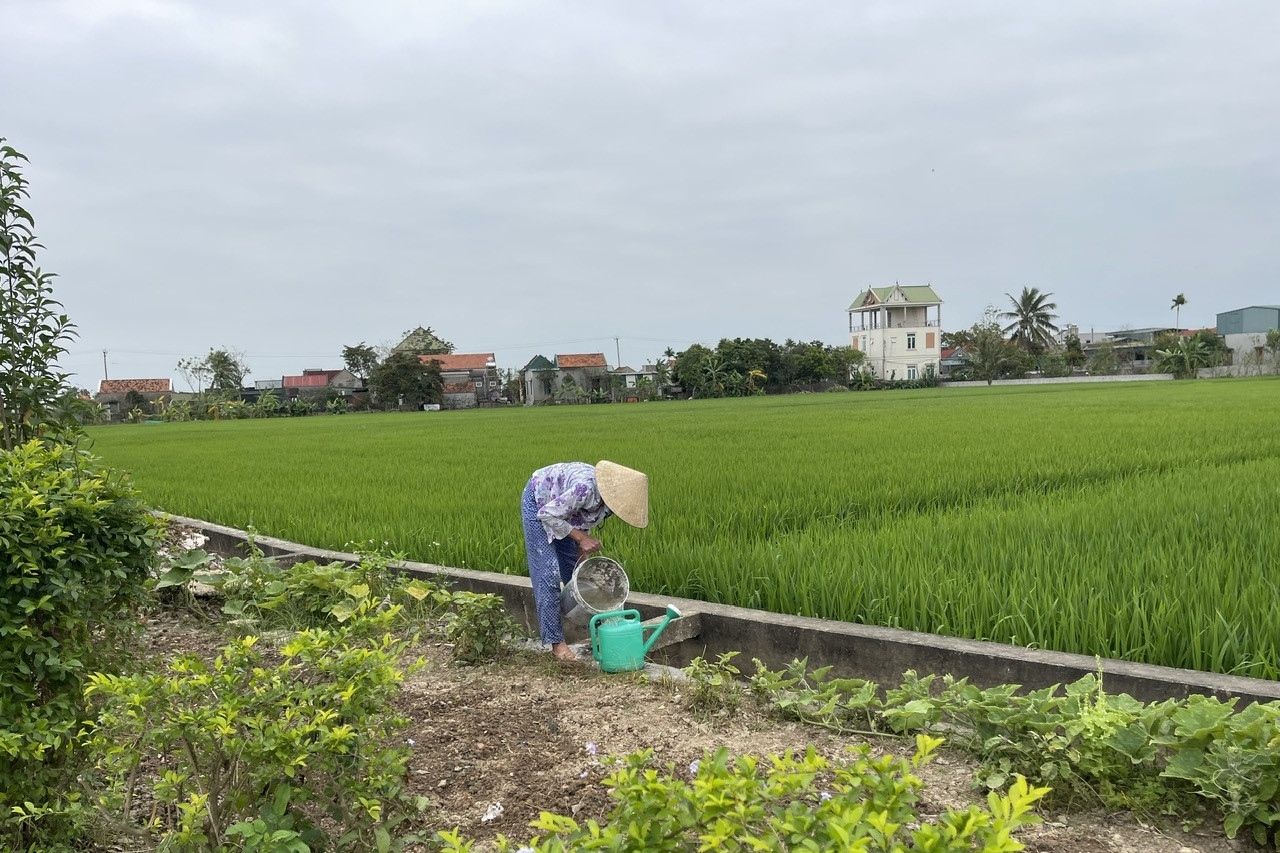 Hoằng Lộc đặt mục tiêu là điểm sáng nông thôn mới gắn với phát triển đô thị