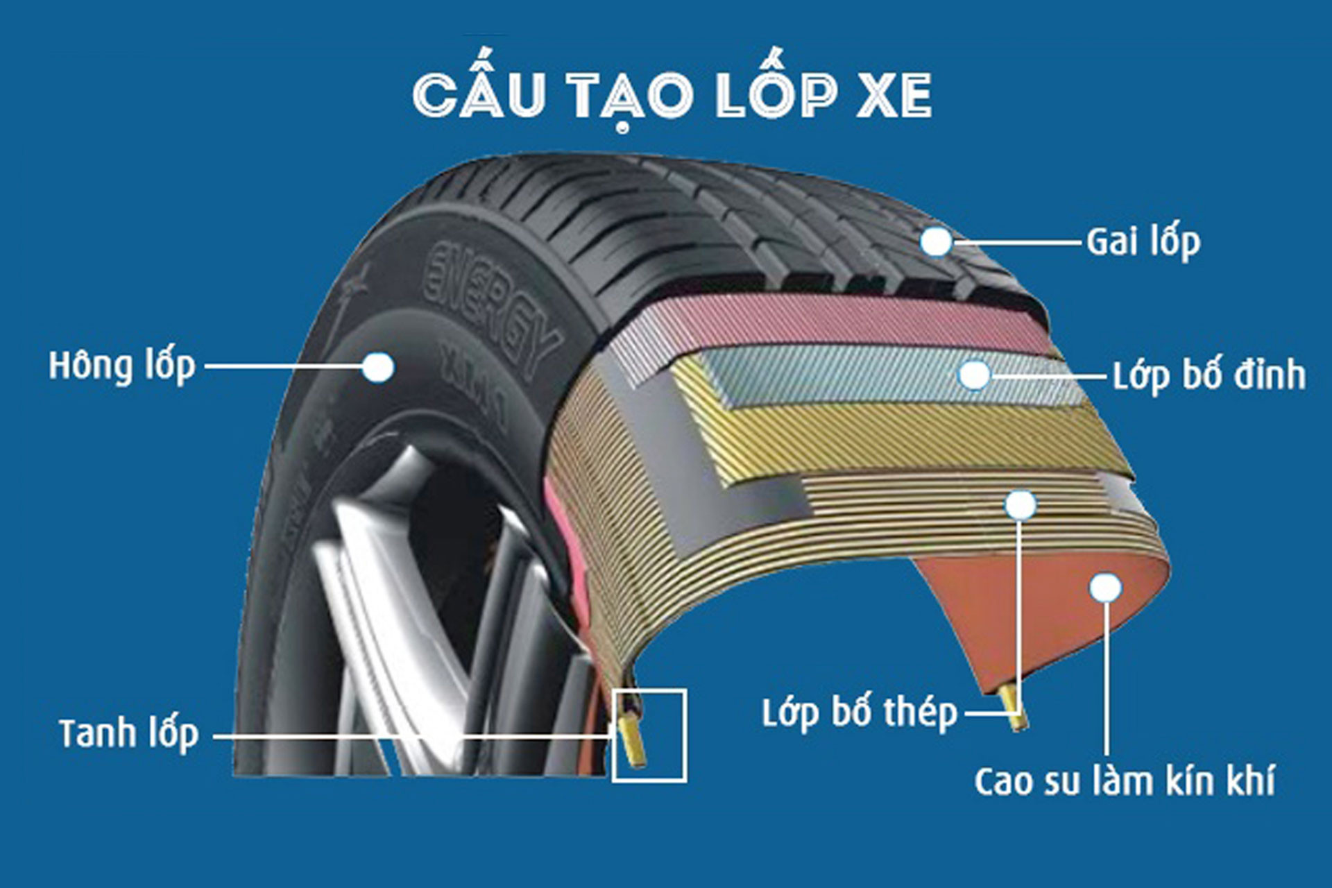 lopxedothanhauto 8905.jpg