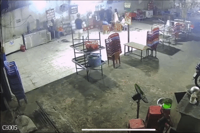 Nhóm người hành hung nam thanh niên, náo loạn cả quán ăn
