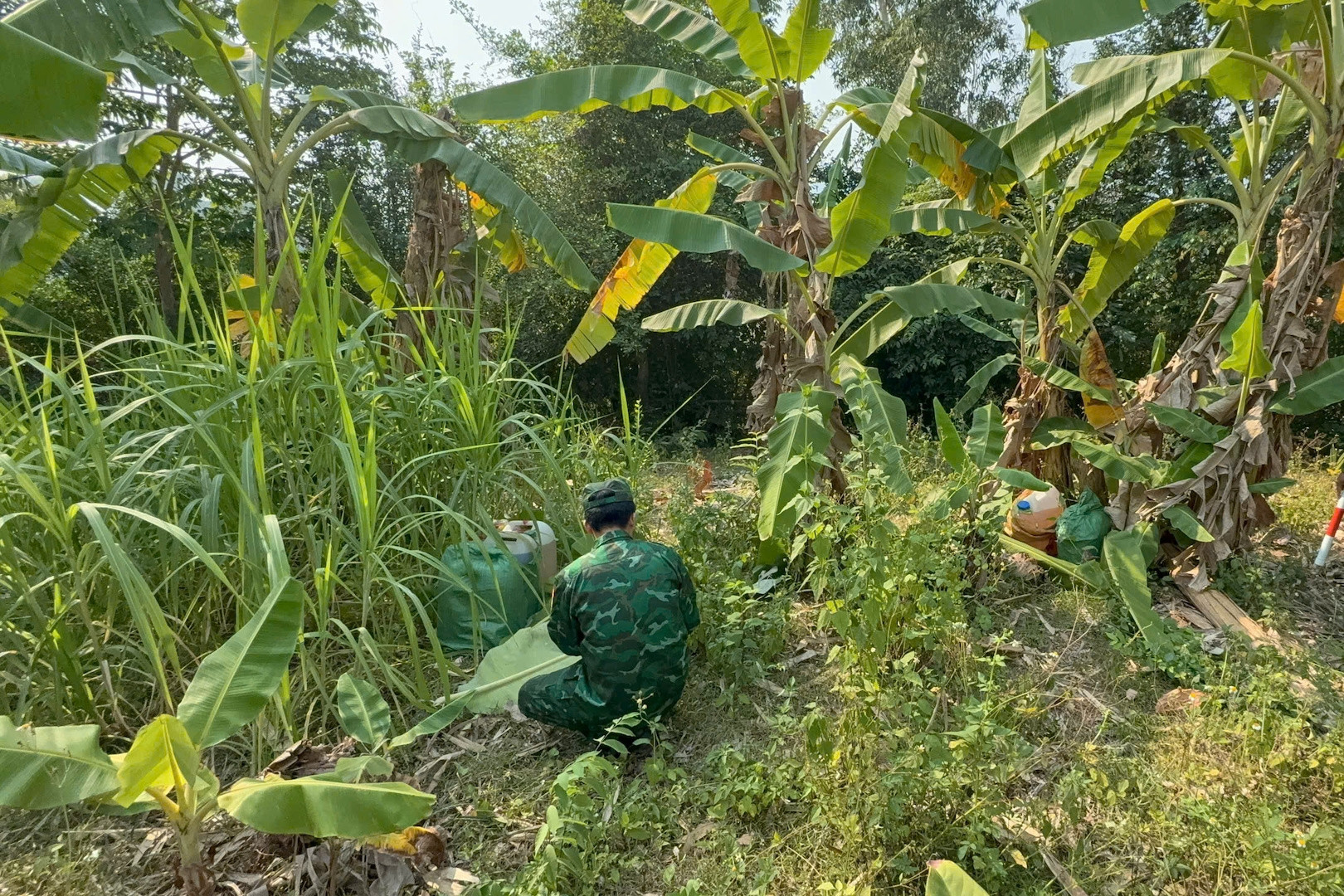 Những chiếc thùng ẩn khuất dưới gốc cây, hé lộ đường dây buôn lậu qua biên giới