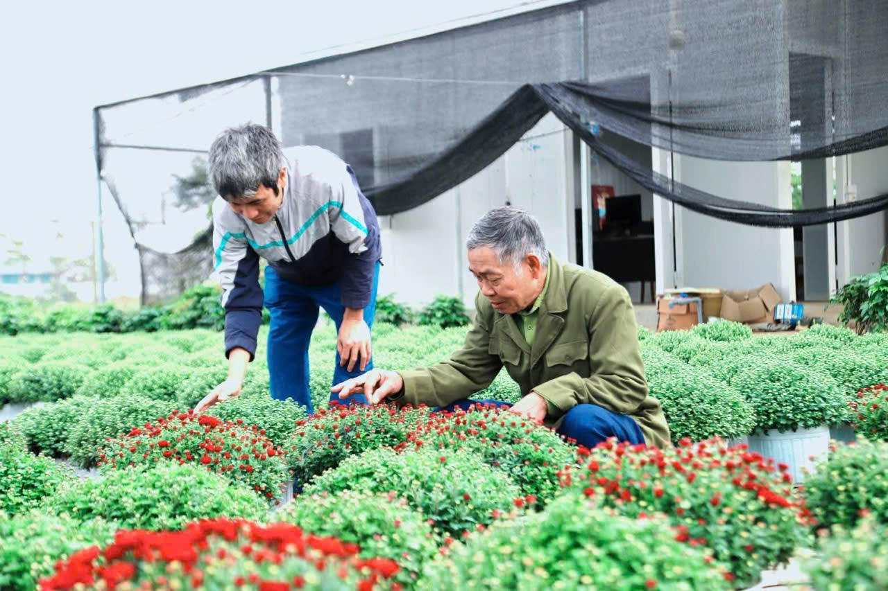 Tạo nền móng vững chắc cho mục tiêu xây dựng nông thôn mới nâng cao