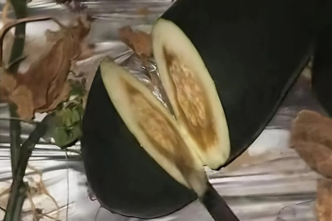 Gõ dưa giữa đêm, người đàn ông gây sốt mạng, kiếm hàng trăm triệu/tháng