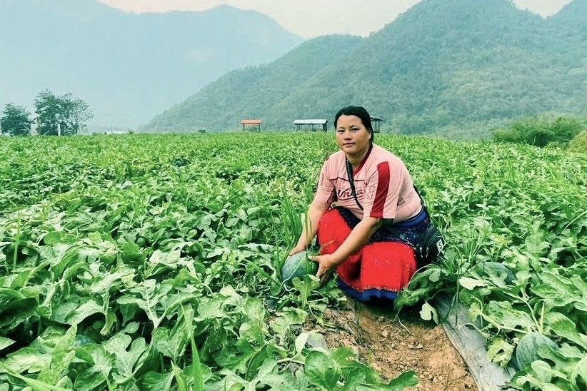 Trồng dưa thu nhập gấp 5 lần, người dân miền núi Thanh Hóa bền bỉ thoát nghèo