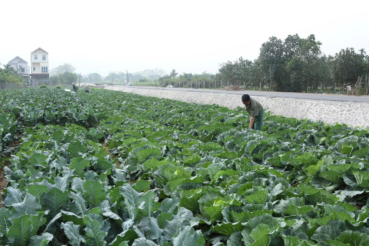 Tuyên Quang: Đổi mới tuyên truyền, tạo sức bật xây dựng nông thôn mới bền vững