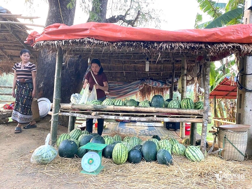 W-a2Từ ruộng lúa đến.jpg