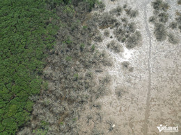 W-aa rừng mặn4.JPG.jpg