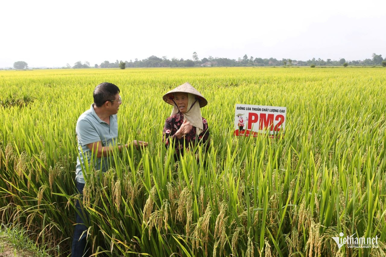 W-anh 1 phu nu ninh binh.jpg