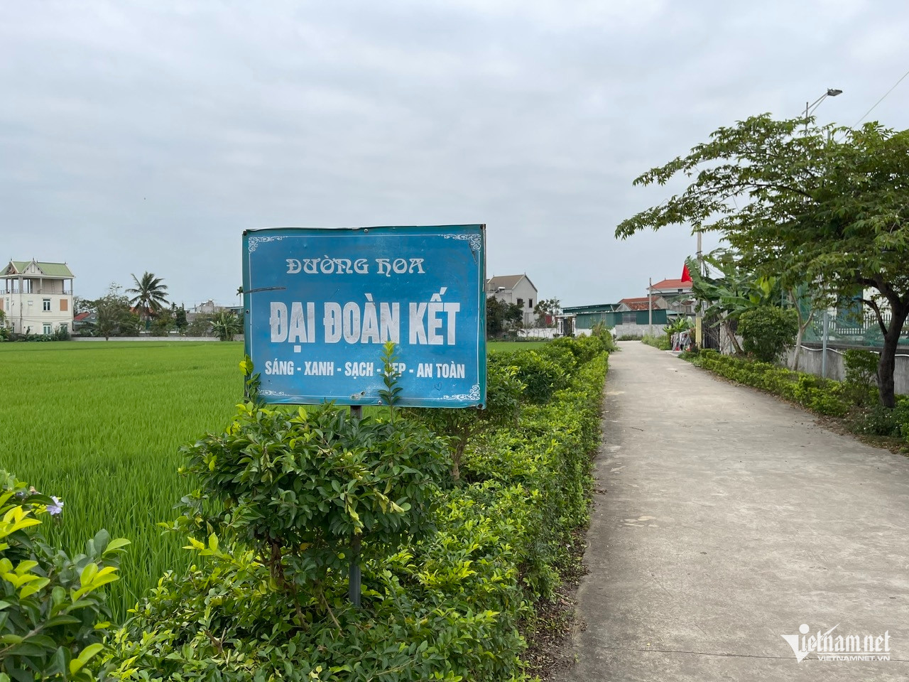 W-anh 10 bai dai phuoc.jpg