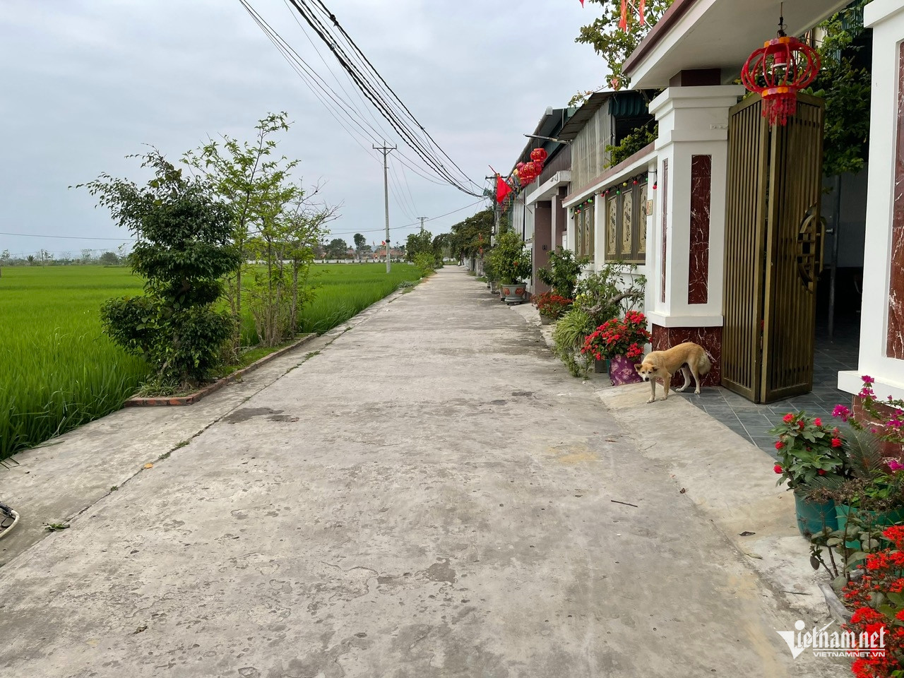 W anh 7 tin xa o lam.jpg