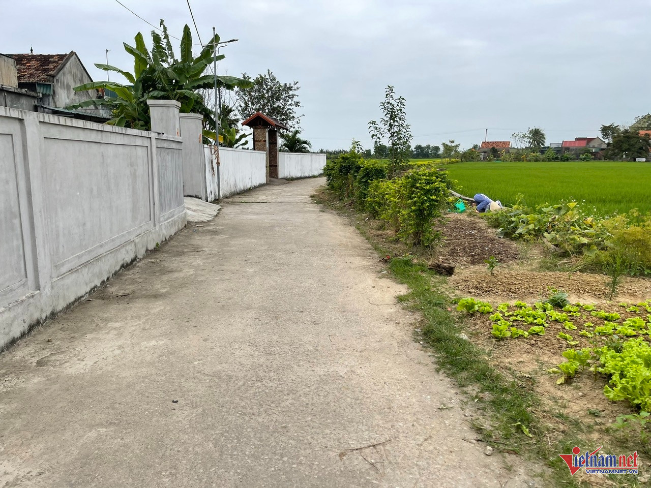 W-anh 8 thon 2 hoang thai.jpg