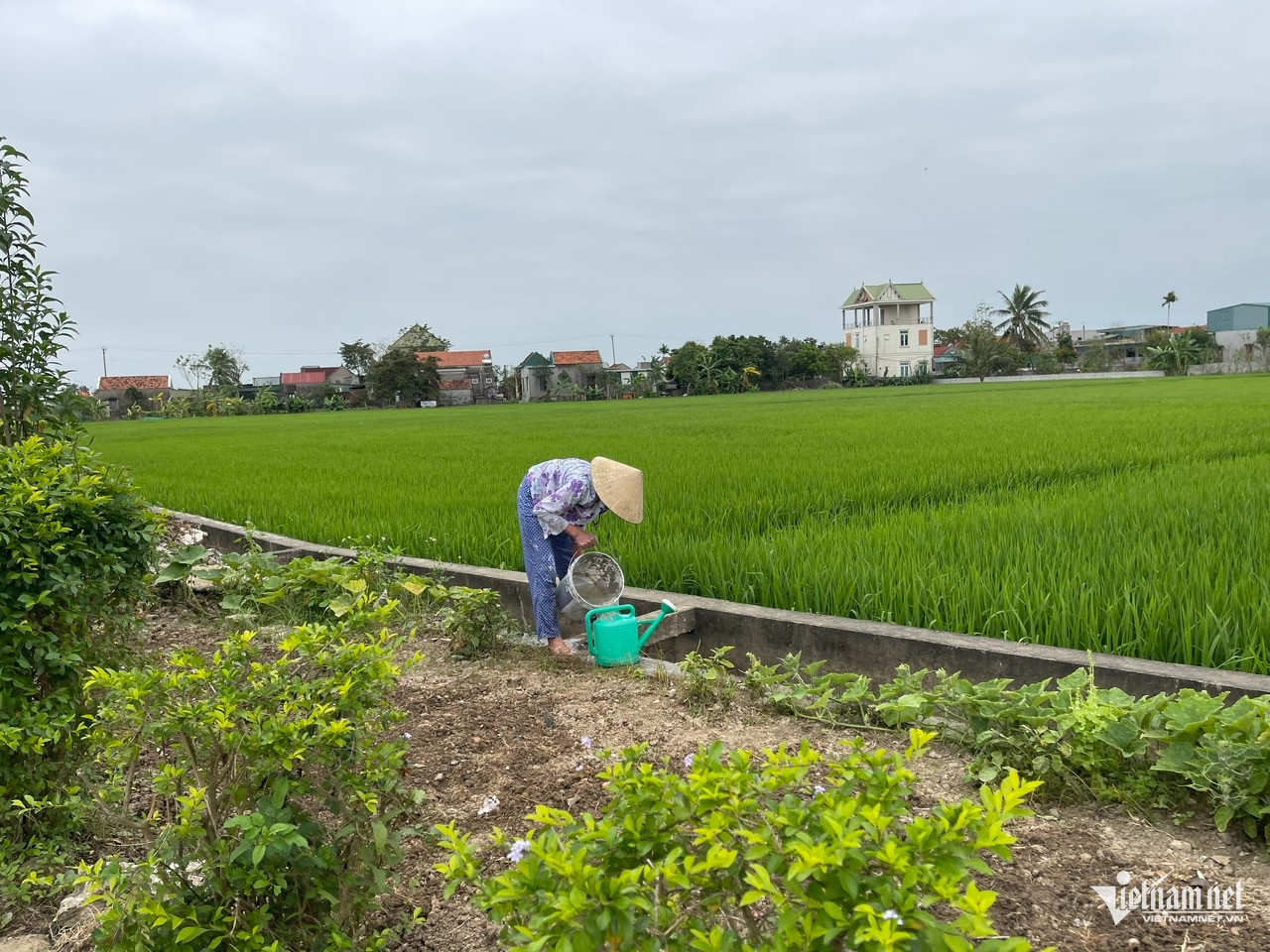 W-anh 9 hoang loc.jpg