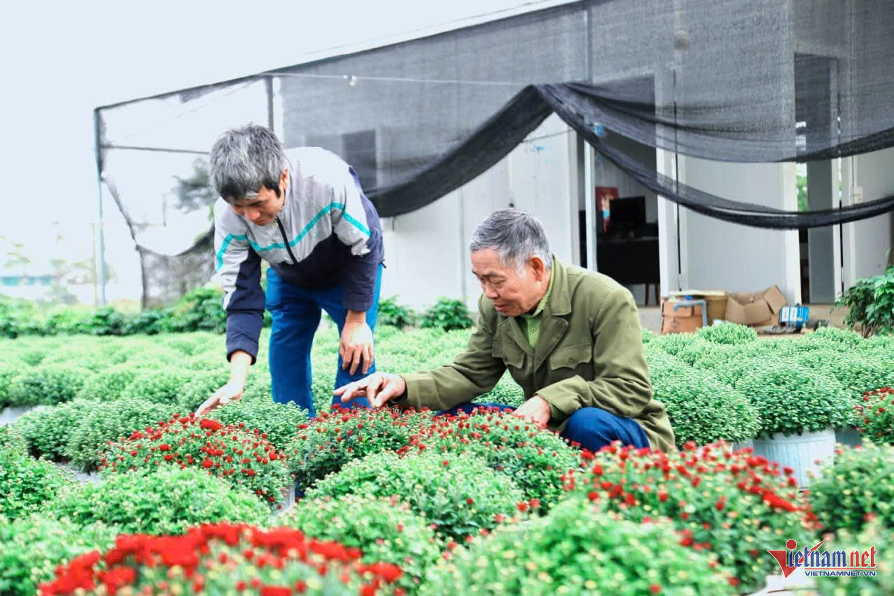 W-anh bai tao nen mong.jpg