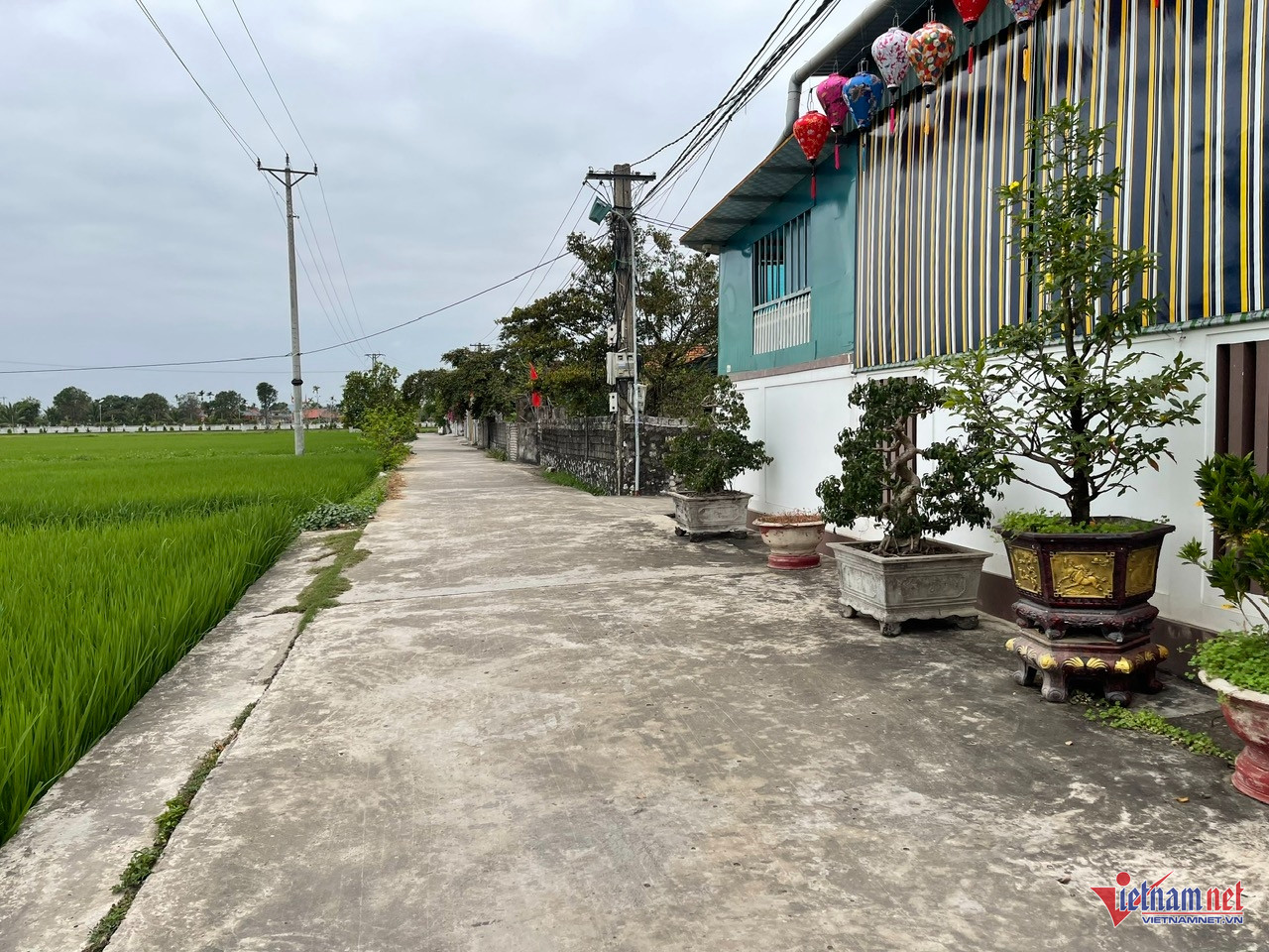 W-anh tin 10 tran yen.jpg