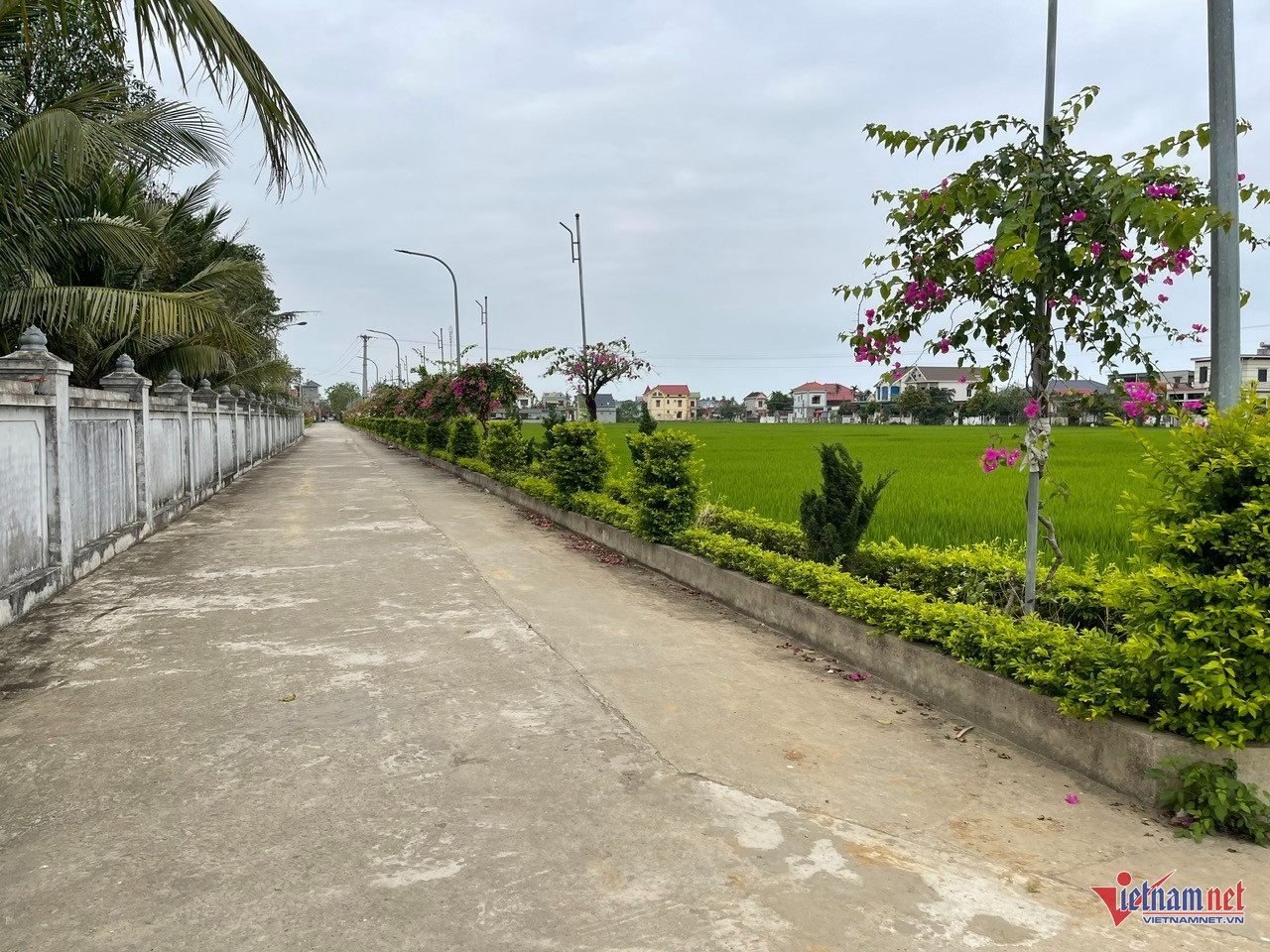 W-anh tin 12 lao cai.jpg