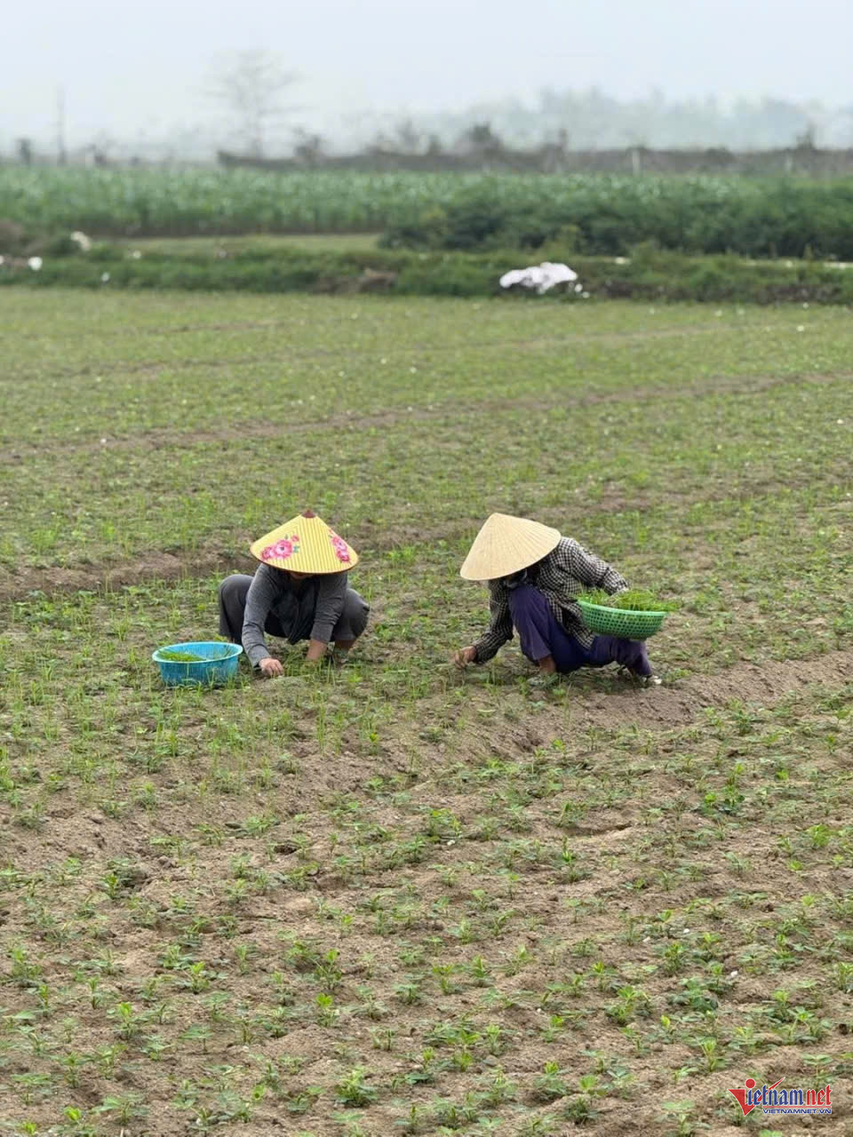 W-anh tin ha tinh chia se.jpg