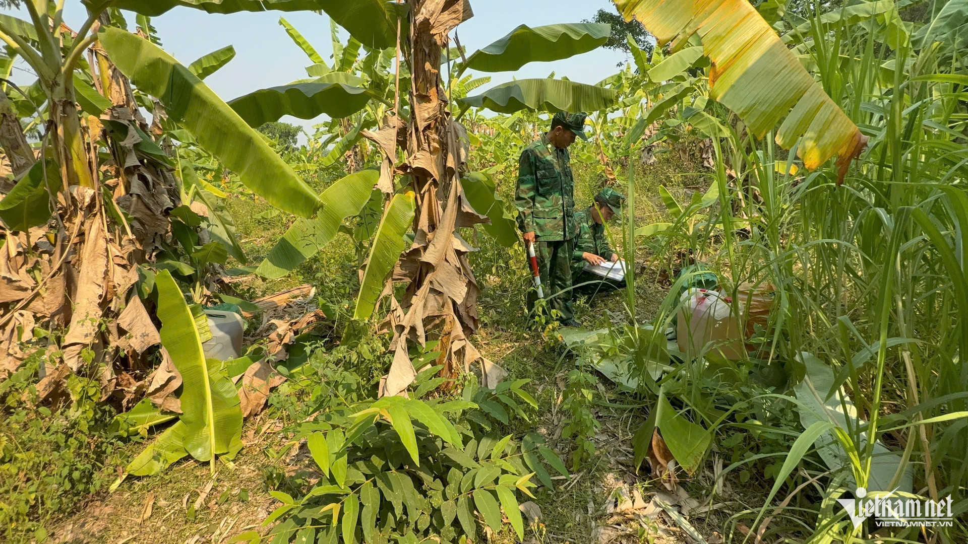 W-tội phạm 1.jpg