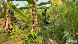 W-tội phạm 1.jpg