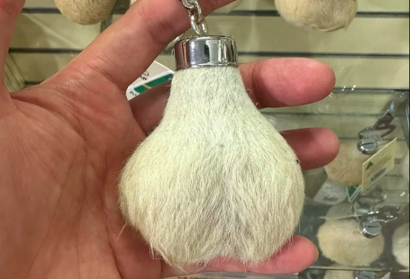 4 món quà lưu niệm độc đáo đến khó tin trên thế giới