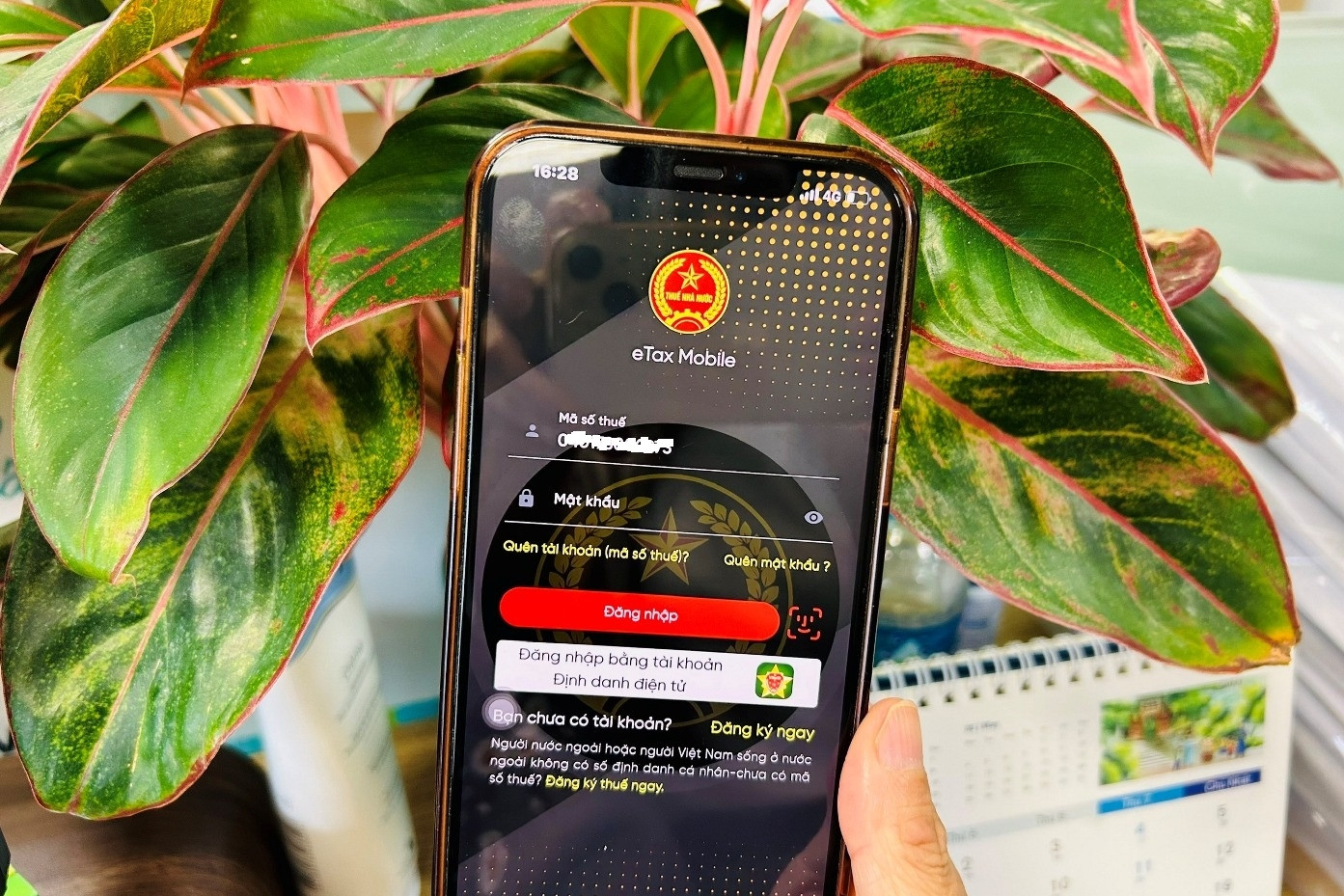 Bị khai khống thu nhập trên eTax Mobile, người nộp thuế cần làm gì?