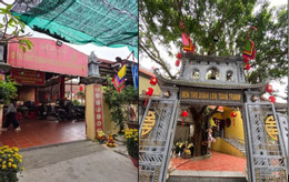 gia mao den tranh2.JPG