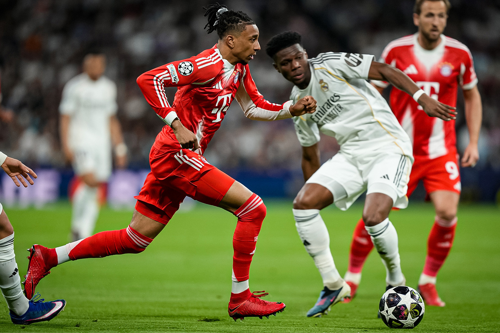 Olise Real Madrid Bayern.jpg