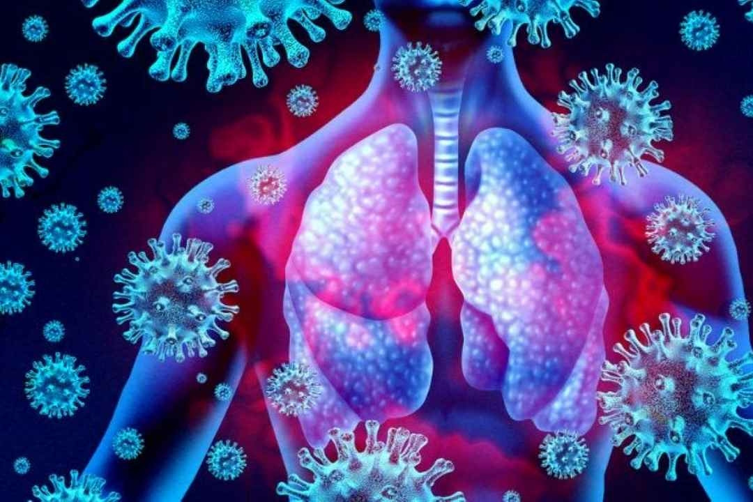 Virus 'bị lãng quên' ở người lớn quay trở lại tấn công từ mũi đến phổi