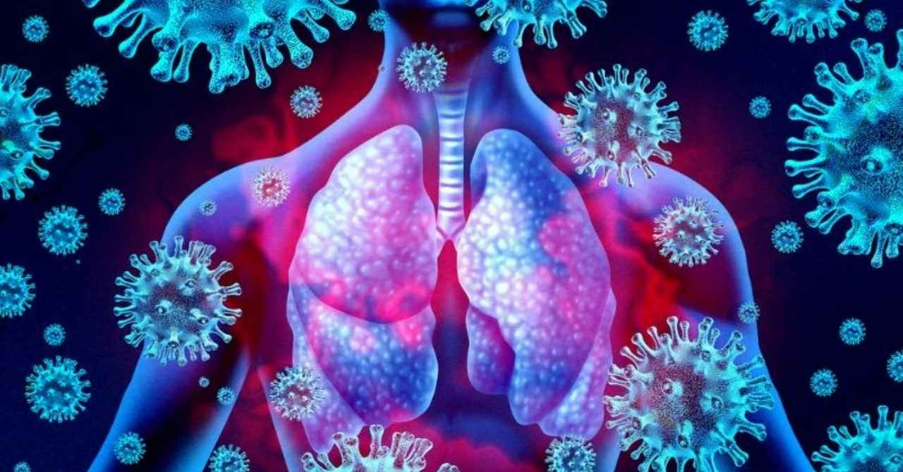 Virus "bị lãng quên" ở người lớn quay trở lại tấn công từ mũi đến phổi