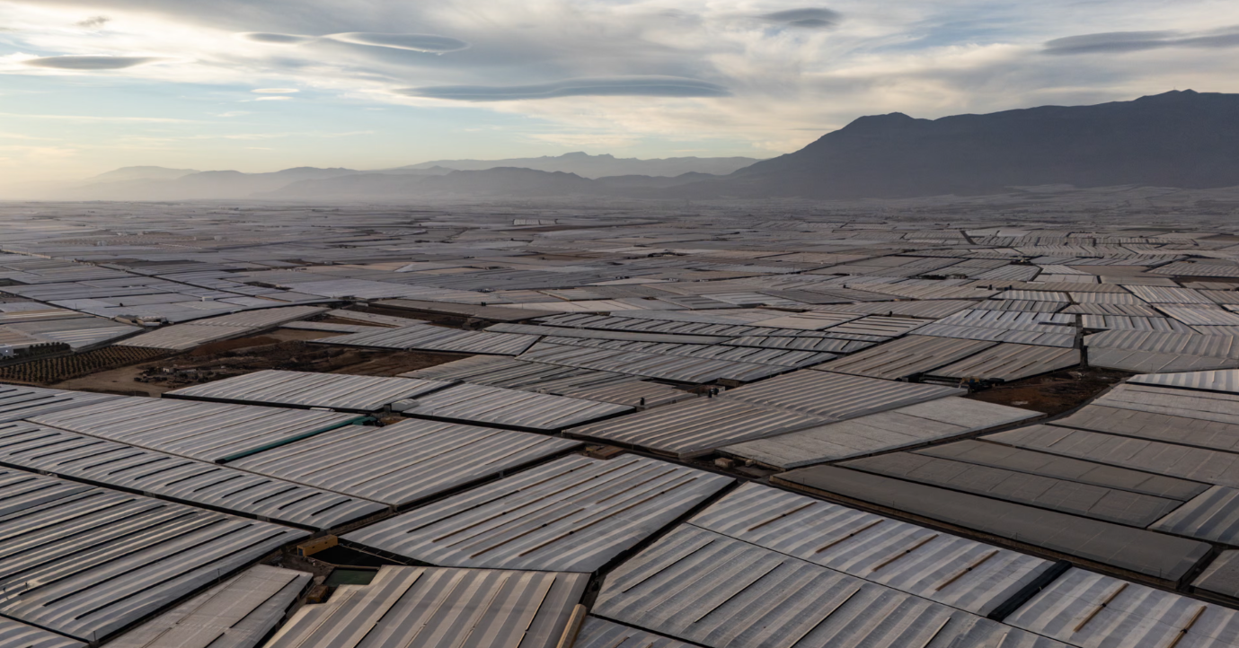 Vườn rau khổng lồ 3,5 triệu tấn, có thể nhìn thấy từ không gian