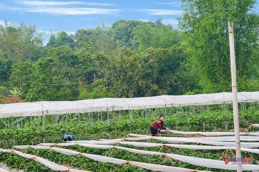 W-1c9b82e6 158c 4abf b4a2 132b8f8aaedc.png