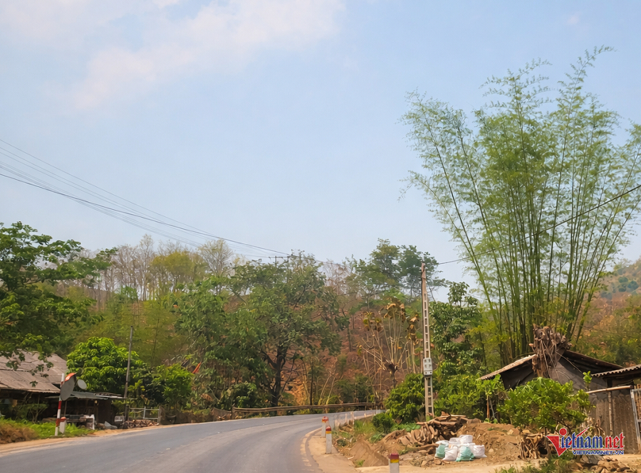 W-426594c6 0486 485c 9900 6b894e3db929.png