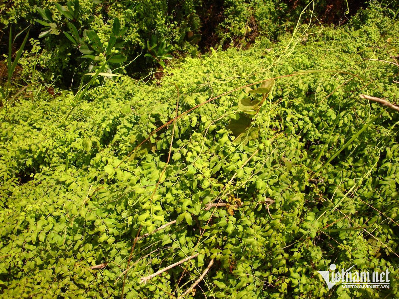 W-f70c3132 9a20 45e1 8702 d2b619c956ce.jpeg