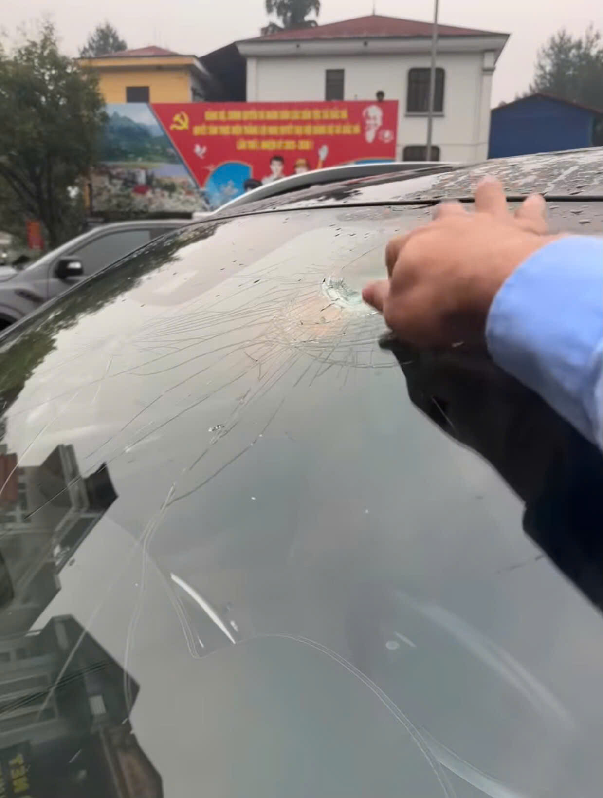 871cdf32975e16004f4f (1).jpg