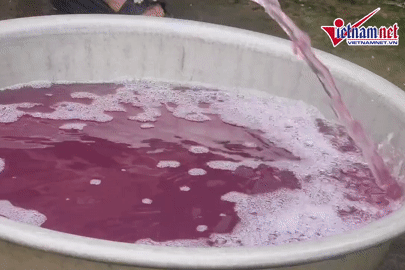  Nước giếng chuyển màu tím bất thường, người dân phải mua nước bình về dùng 