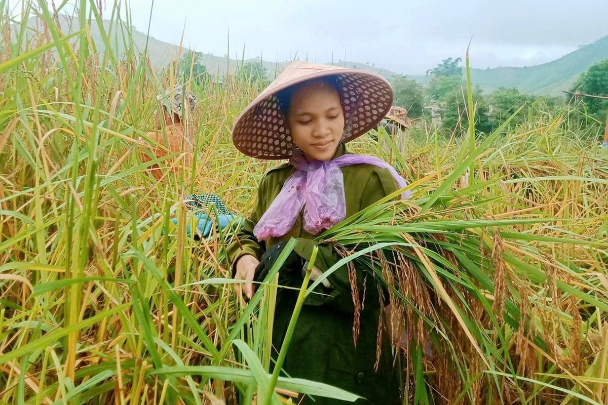 Phổ biến, vận động đồng bào dân tộc thực hiện pháp luật về bình đẳng giới