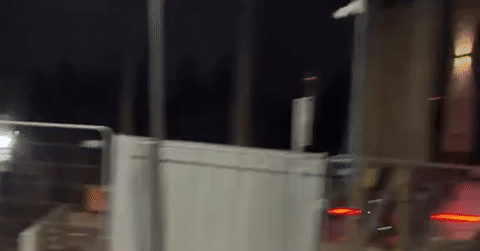 Robot hình người Trung Quốc lùa lợn rừng ở Ba Lan