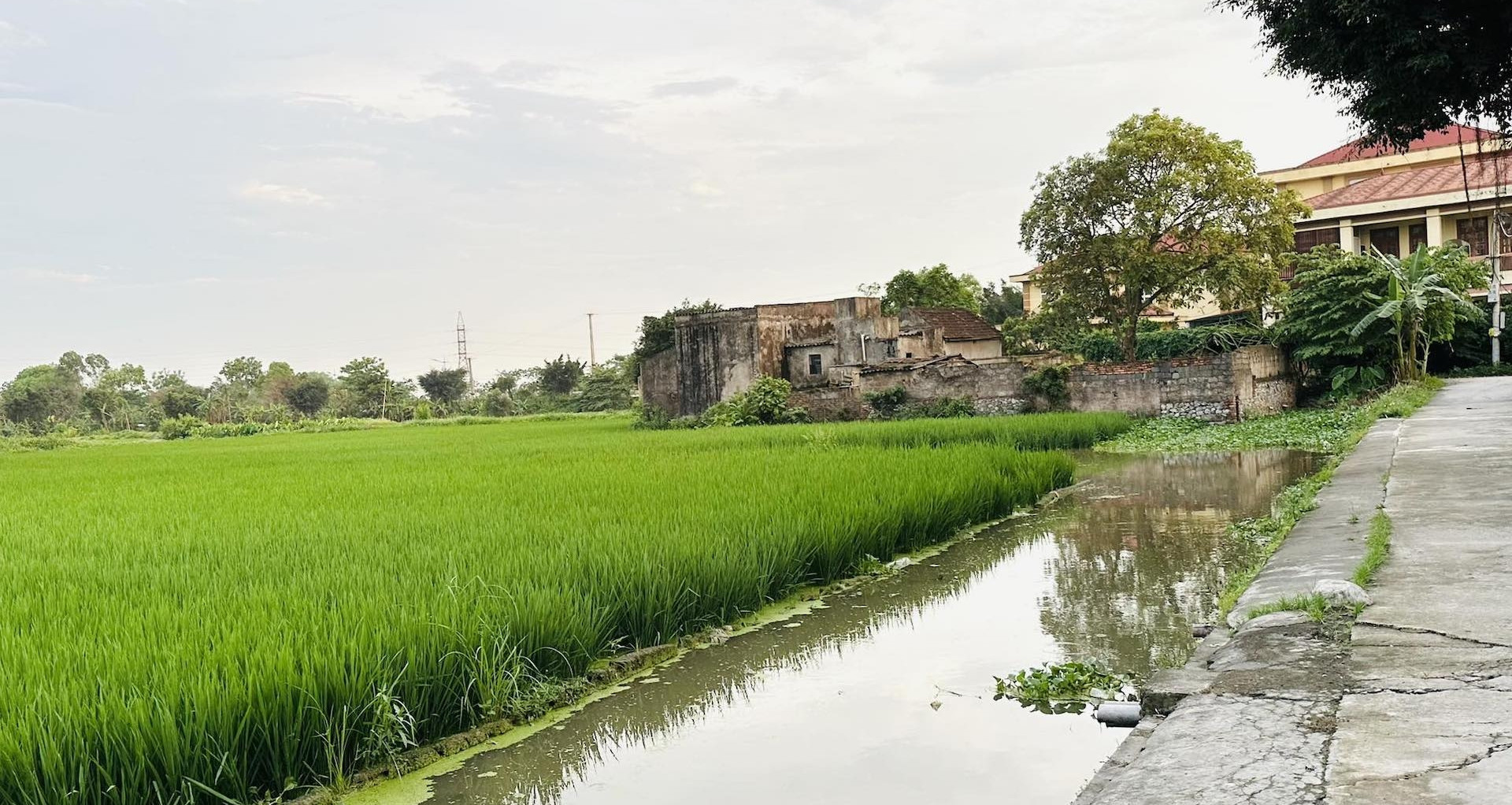 Đất nông nghiệp nằm lọt phía trong, không giáp đường có được chuyển lên đất ở?