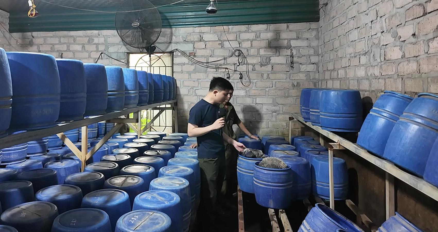 Đột kích loạt xưởng sản xuất hàng tấn giá đỗ dùng &amp;apos;nước kẹo&amp;apos; ở Quảng Ninh