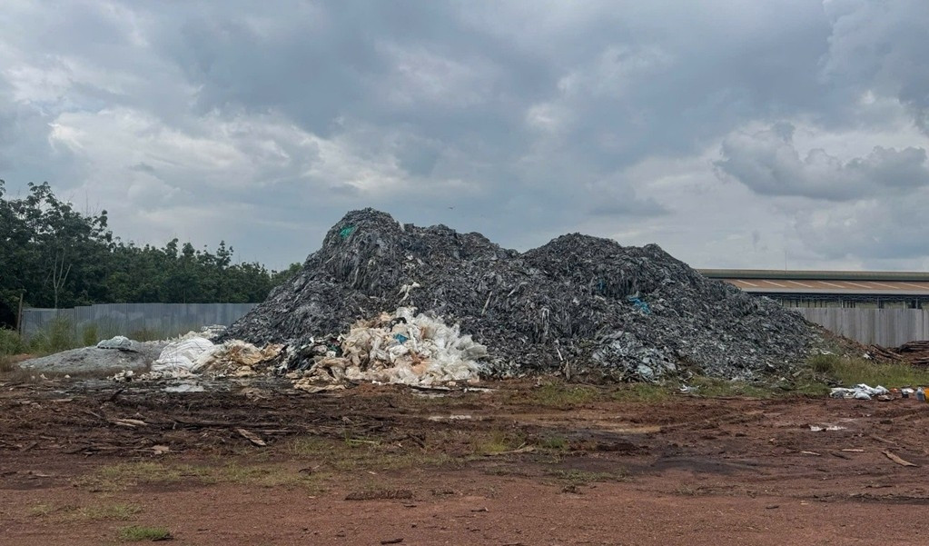 Để hơn 560 tấn da bò phân hủy gây ô nhiễm, 2 đối tượng bị bắt tạm giam