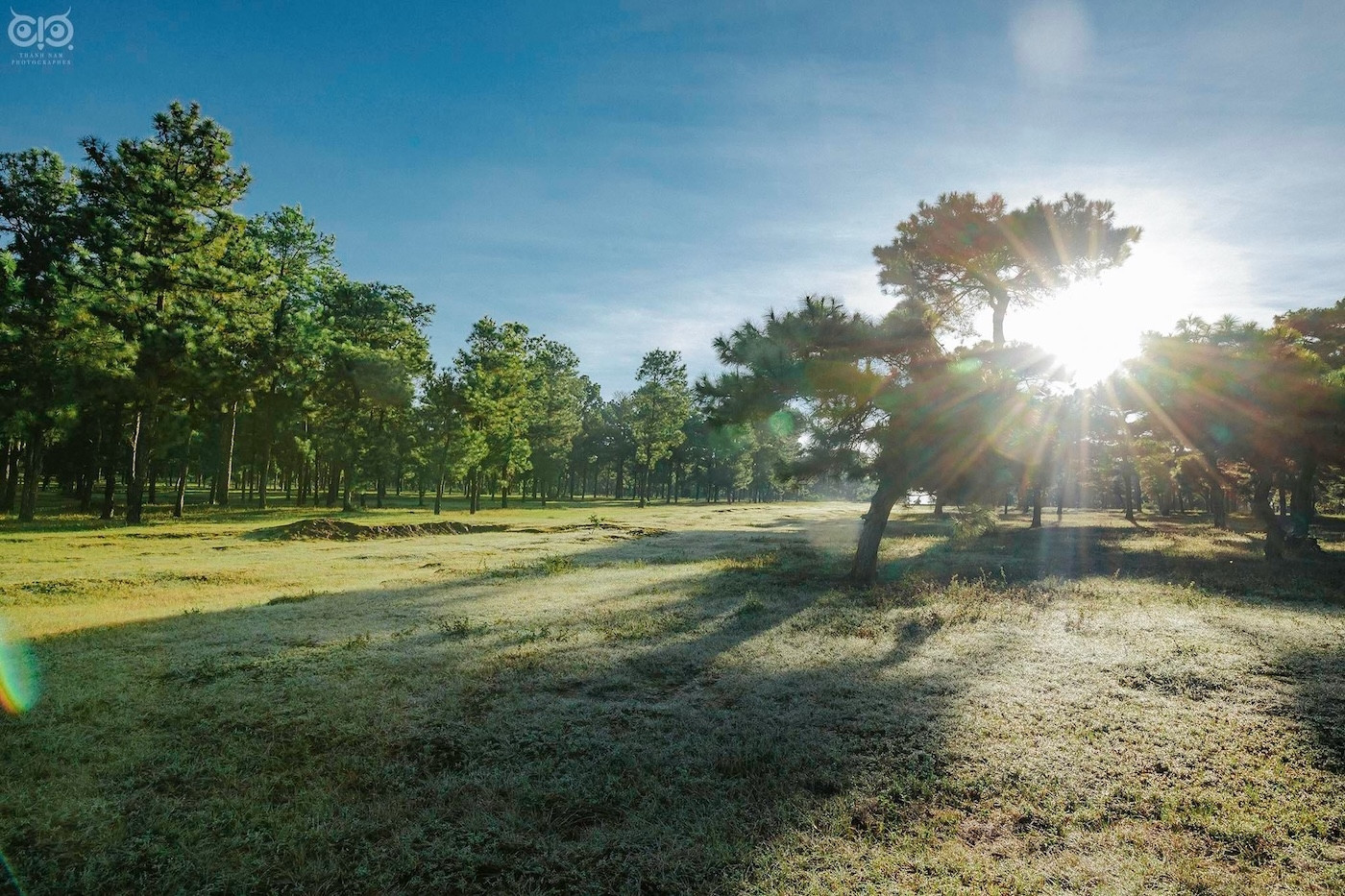 Gần 400 bất động sản bị thu giữ để xử lý nợ một hãng hàng không