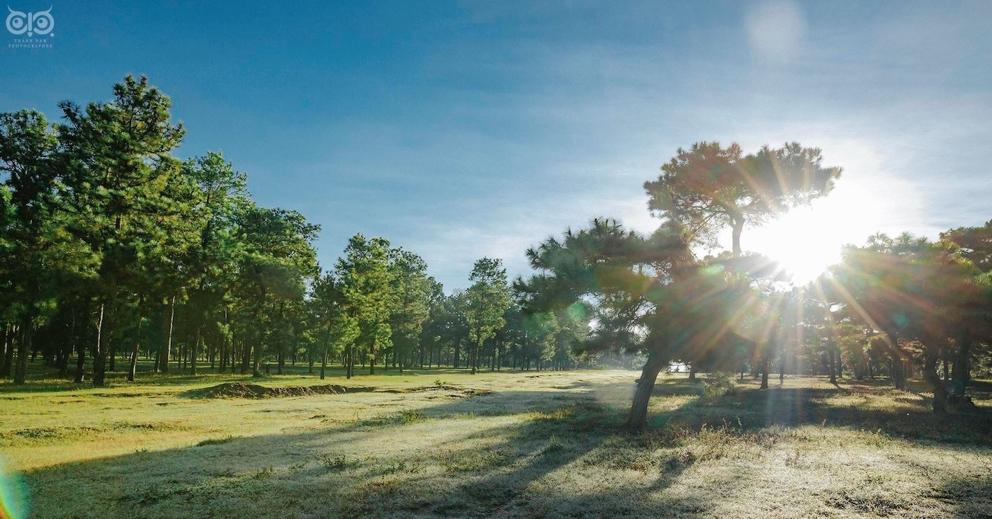 Gần 400 bất động sản bị thu giữ để xử lý nợ một hãng hàng không