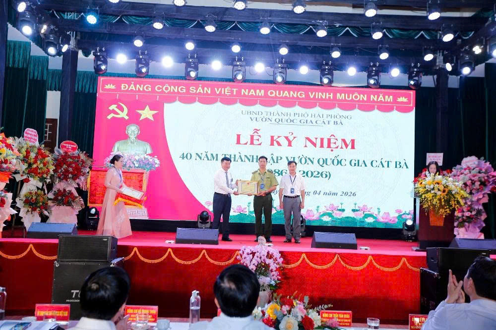 Hải Phòng_Ảnh số 3.jpg