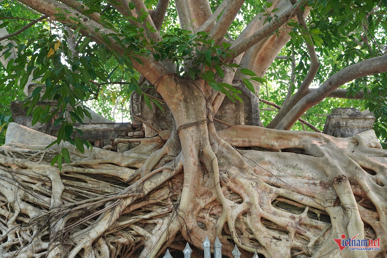 W-cổng phủ tương dương 11.JPG.jpg