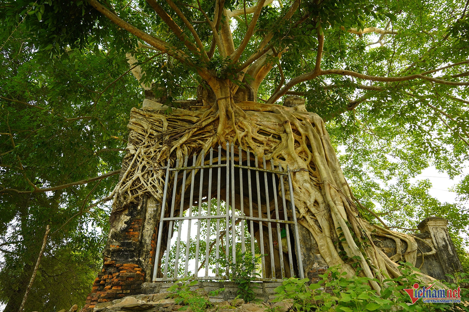 W-cổng phủ tương dương 3.JPG.jpg