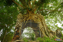 W-cổng phủ tương dương 3.JPG.jpg