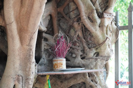 W-cổng phủ tương dương 6.JPG.jpg