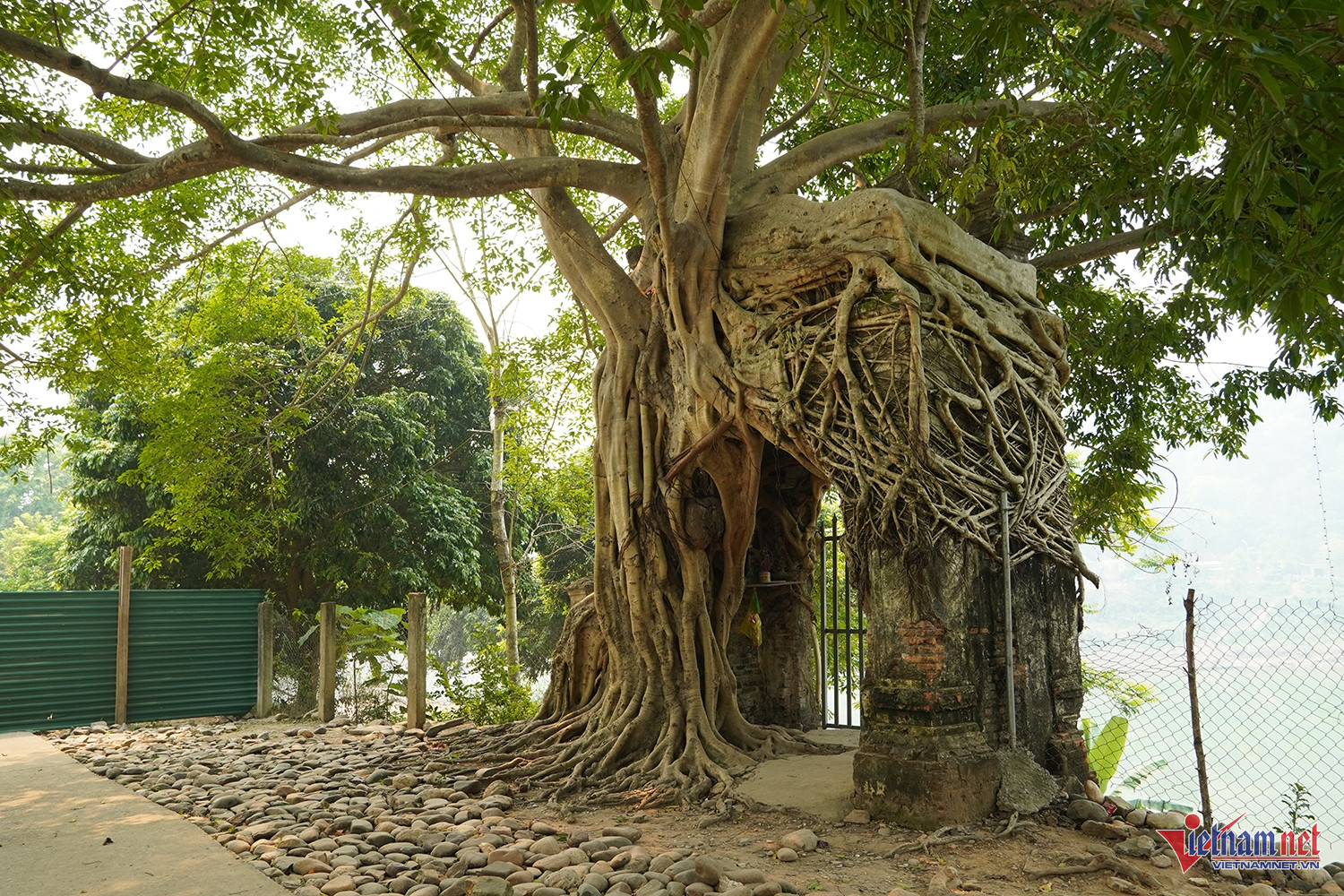 W-cổng phủ tương dương 7.JPG.jpg