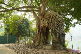 W-cổng phủ tương dương 7.JPG.jpg