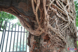 W-cổng phủ tương dương 8.JPG.jpg