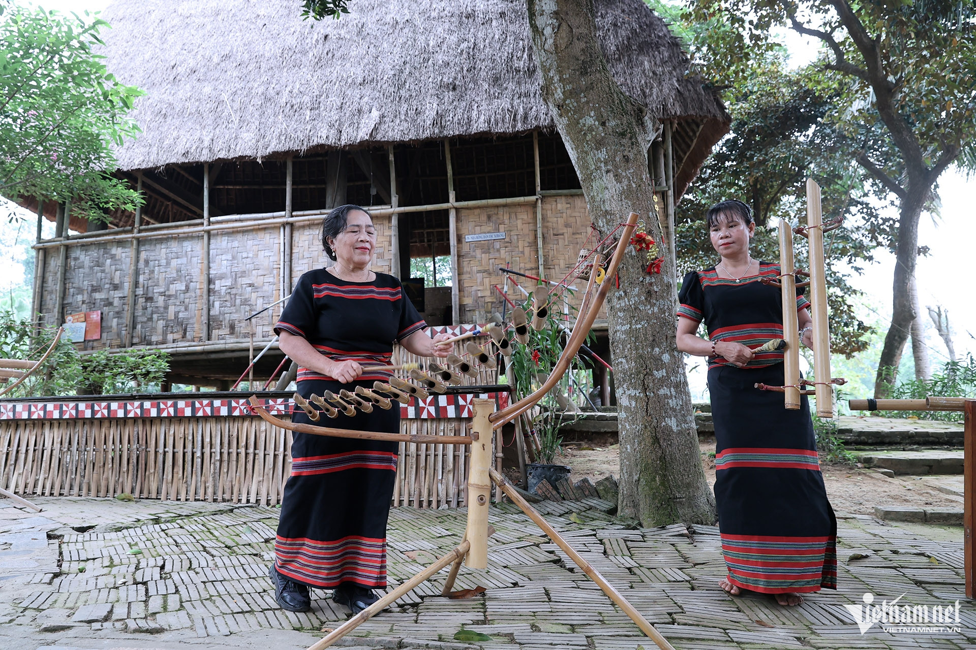 W-Y Sinh Xơ Đăng Quảng Ngãi 2.jpg